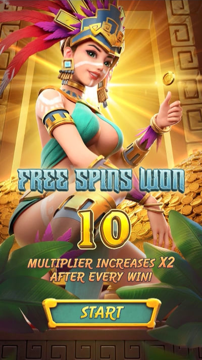 plataforma bonus