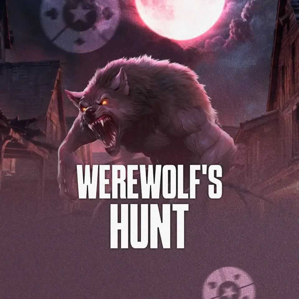 bigwinbet