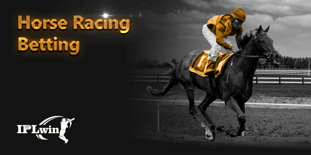 r6bet