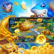 982bet com