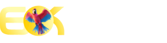 5xt login - Obg777
